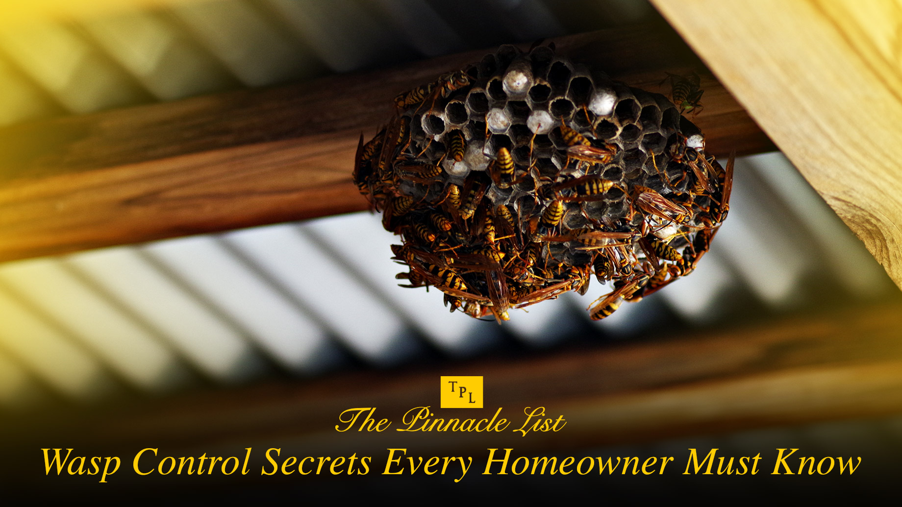 Wasp Control Secrets Every Homeowner Must Know
