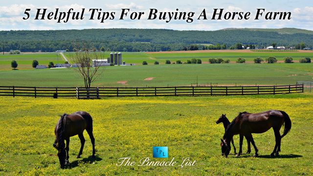 5 Helpful Tips For Buying A Horse Farm