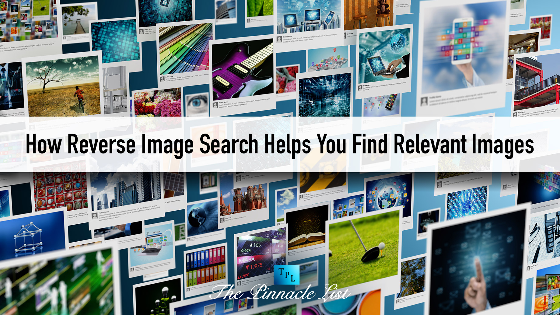 How Reverse Image Search Helps You Find Relevant Images