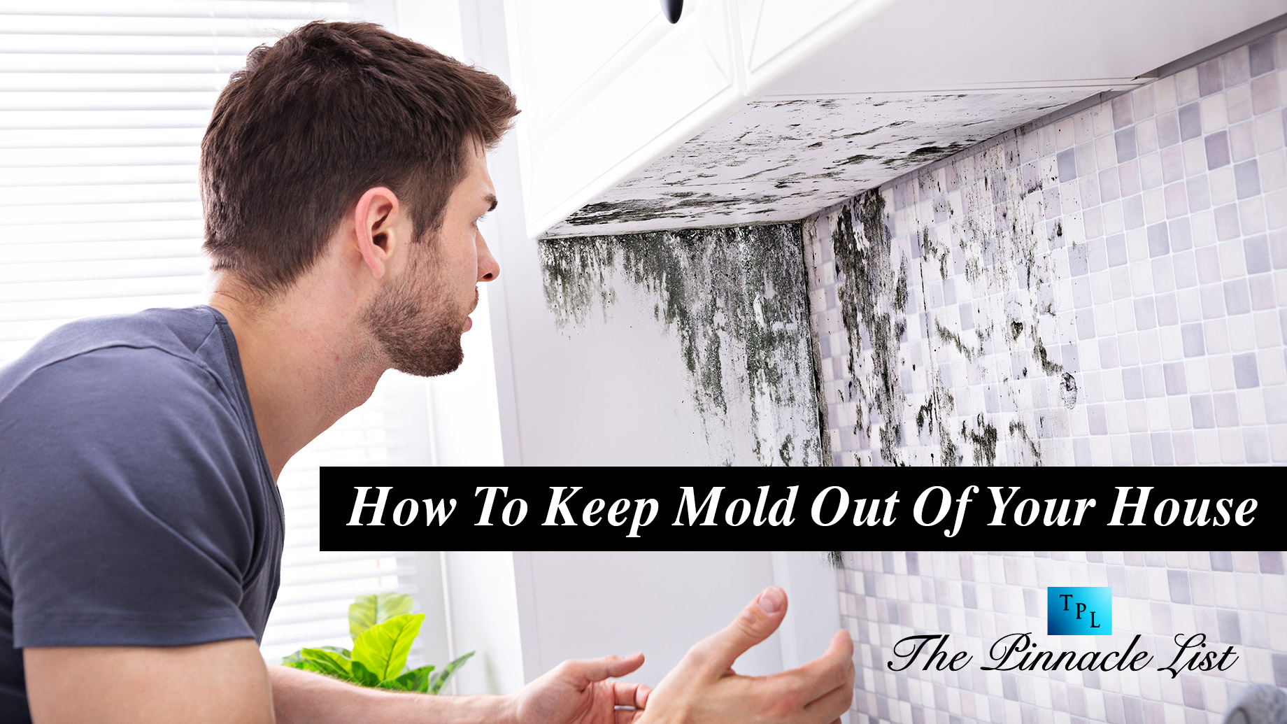 How To Keep Mold Out Of Your House