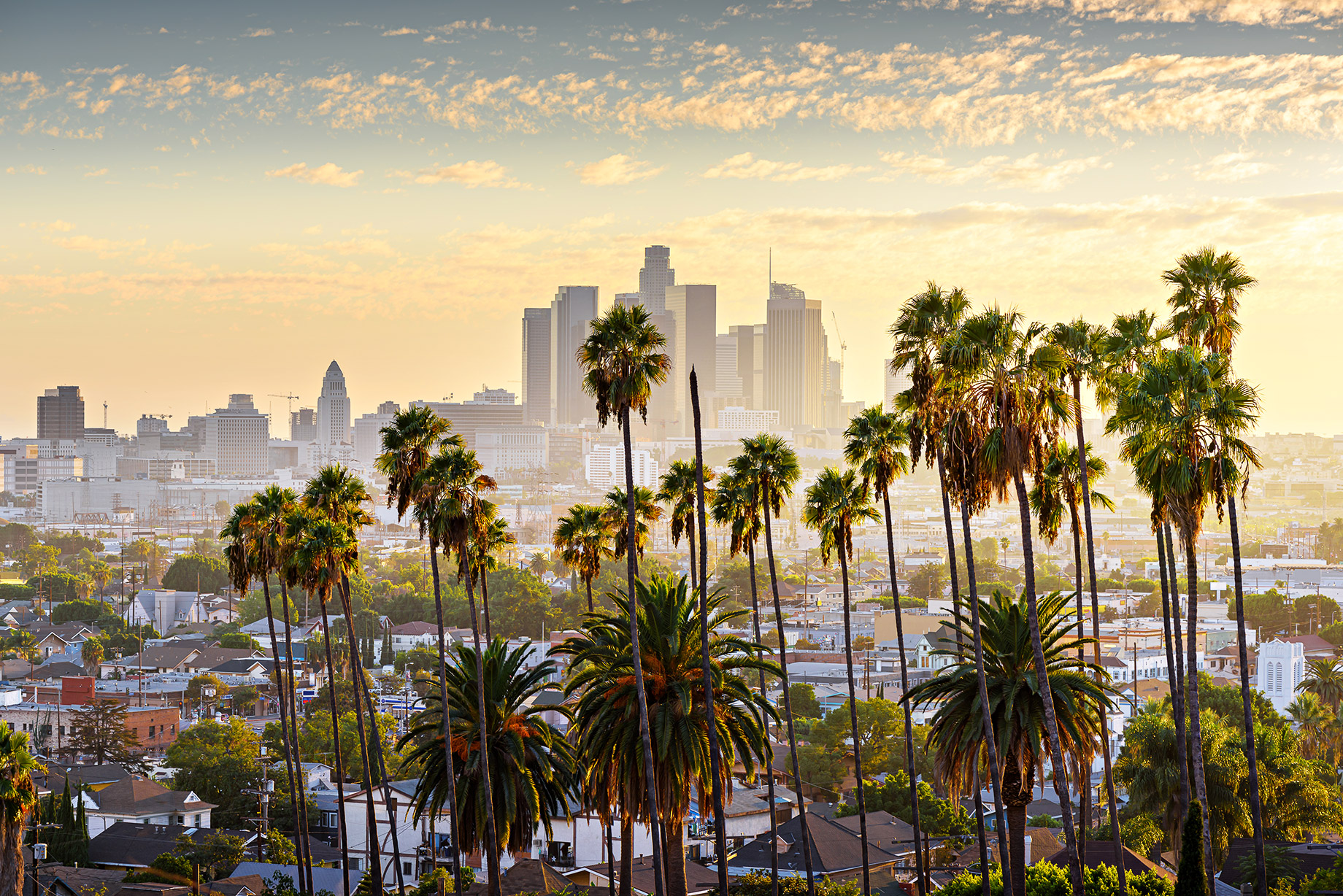 Cityscape with Palm Trees at Sunset - Los Angeles, California, USA