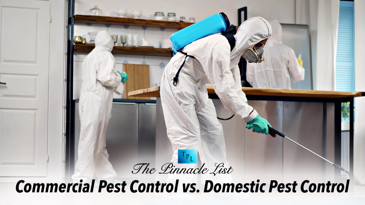 Commercial Pest Control vs. Domestic Pest Control