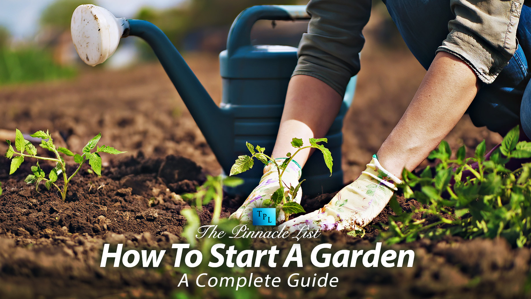 How To Start A Garden: A Complete Guide