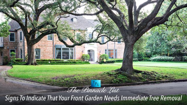 Signs To Indicate That Your Front Garden Needs Immediate Tree Removal