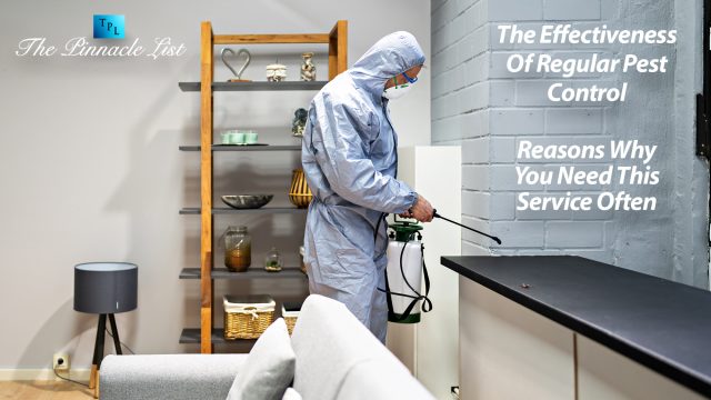 The Effectiveness Of Regular Pest Control: Reasons Why You Need This Service Often