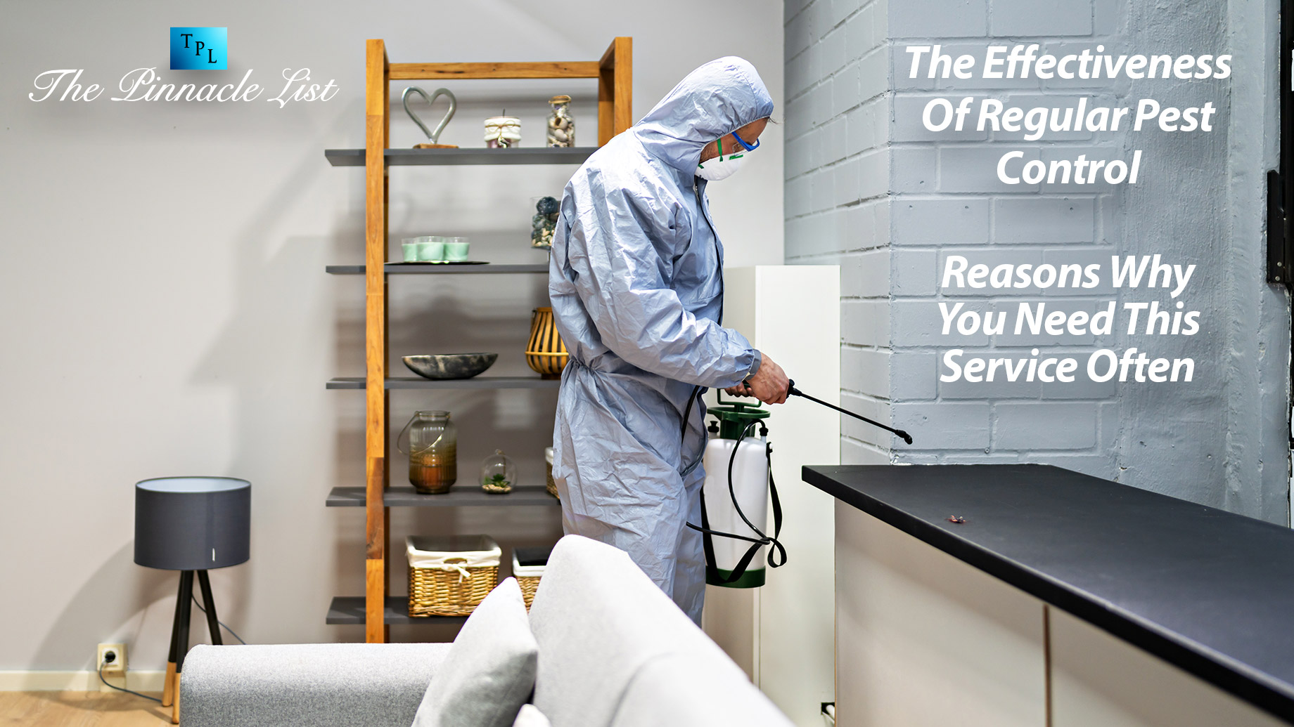 The Effectiveness Of Regular Pest Control: Reasons Why You Need This Service Often