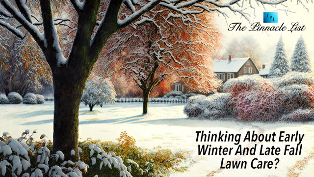 Thinking About Early Winter And Late Fall Lawn Care?