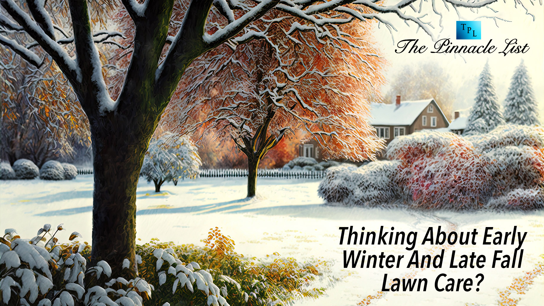 Thinking About Early Winter And Late Fall Lawn Care?