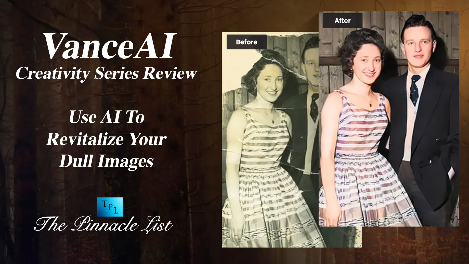 VanceAI Creativity Series Review: Use AI To Revitalize Your Dull Images
