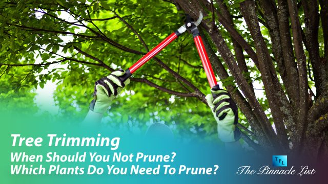 Tree Trimming: When Should You Not Prune? Which Plants Do You Need To Prune?