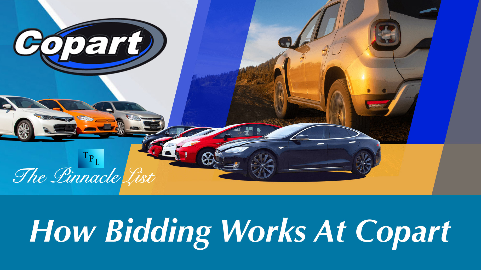 How Bidding Works At Copart – The Pinnacle List