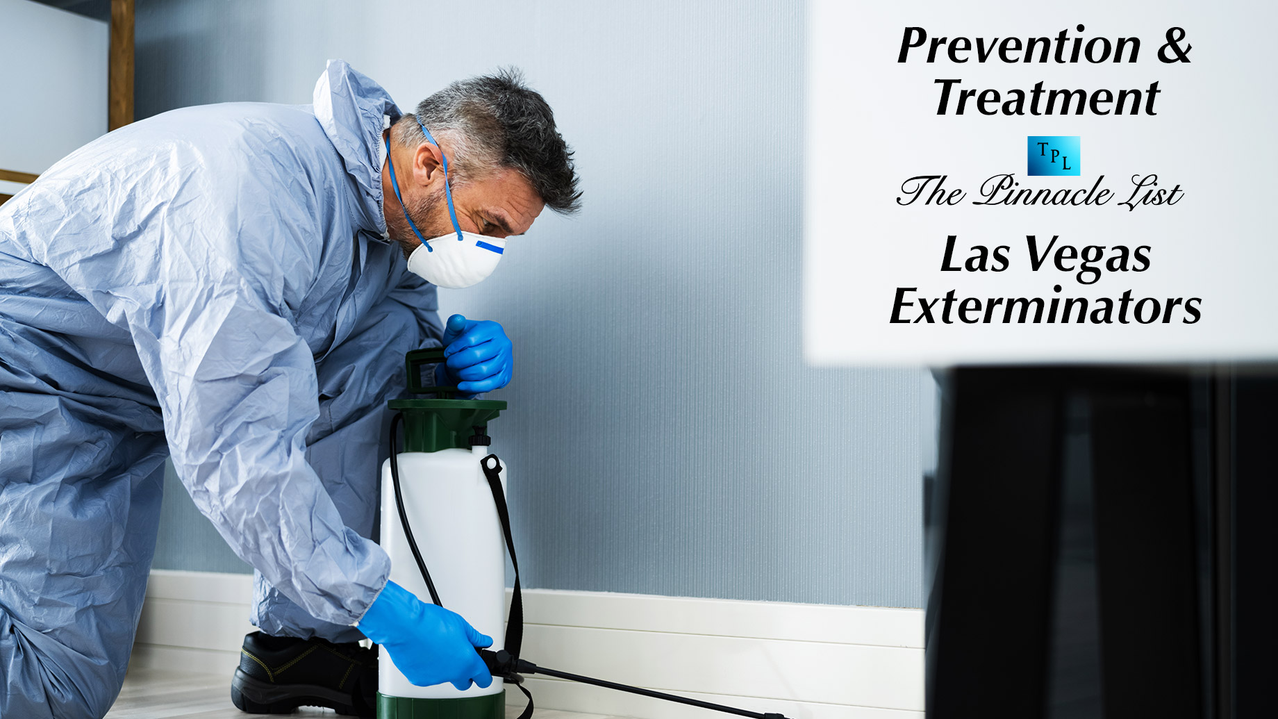 Prevention And Treatment With Las Vegas Exterminators