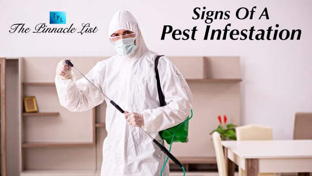 Signs Of A Pest Infestation