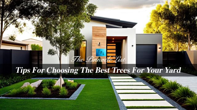 Tips For Choosing The Best Trees For Your Yard