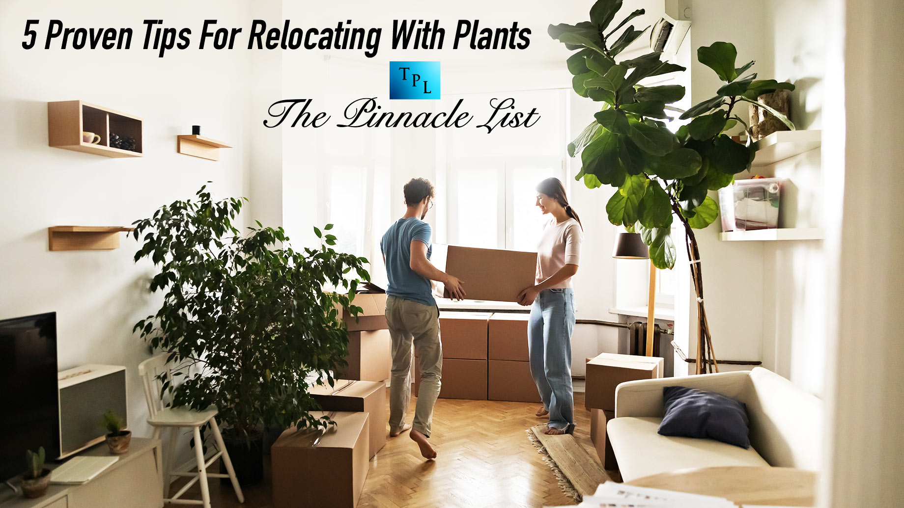 5 Proven Tips For Relocating With Plants