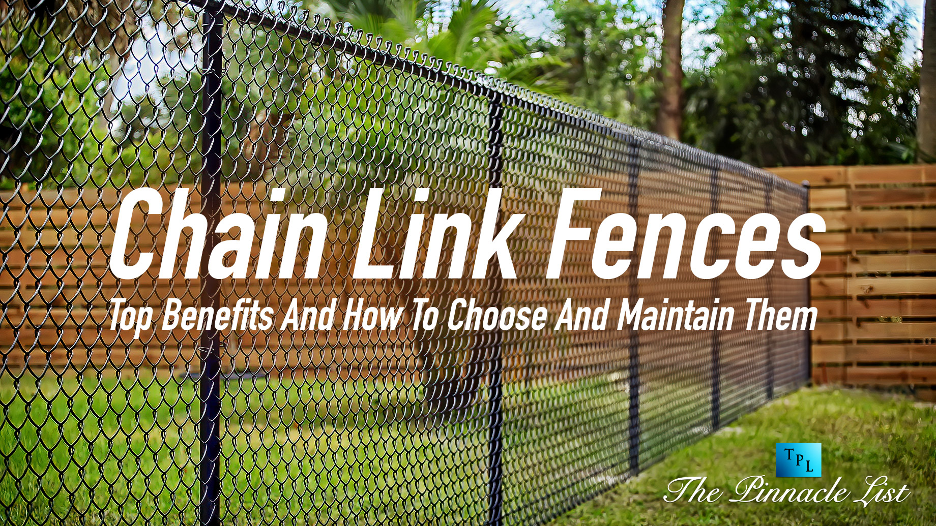 Chain Link Fences: Top Benefits And How To Choose And Maintain Them