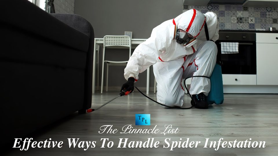 Spider Infested Machine Effective Ways To Handle Spider Infestation – The Pinnacle List