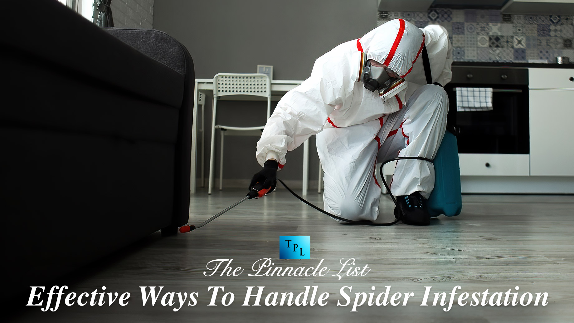 Effective Ways To Handle Spider Infestation