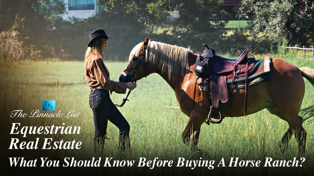 Equestrian Real Estate What You Should Know Before Buying A Horse