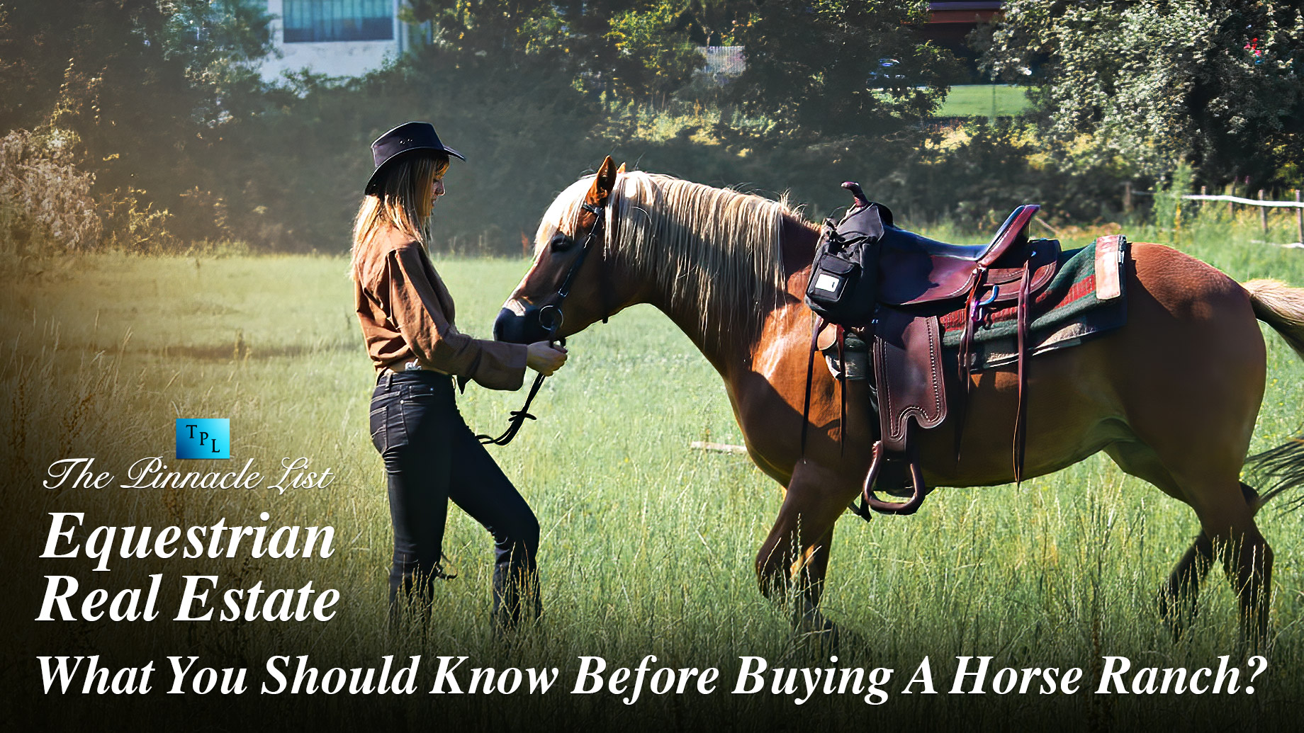 Equestrian Real Estate: What You Should Know Before Buying A Horse Ranch?