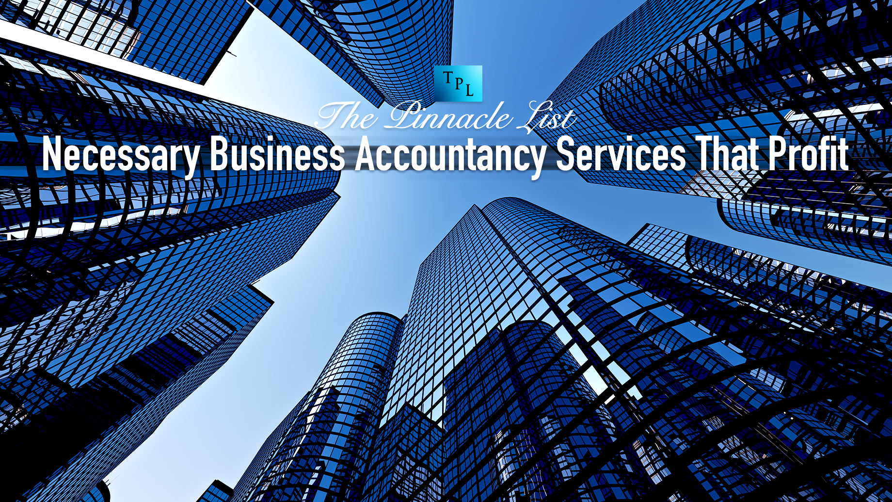 Necessary Business Accountancy Services That Profit