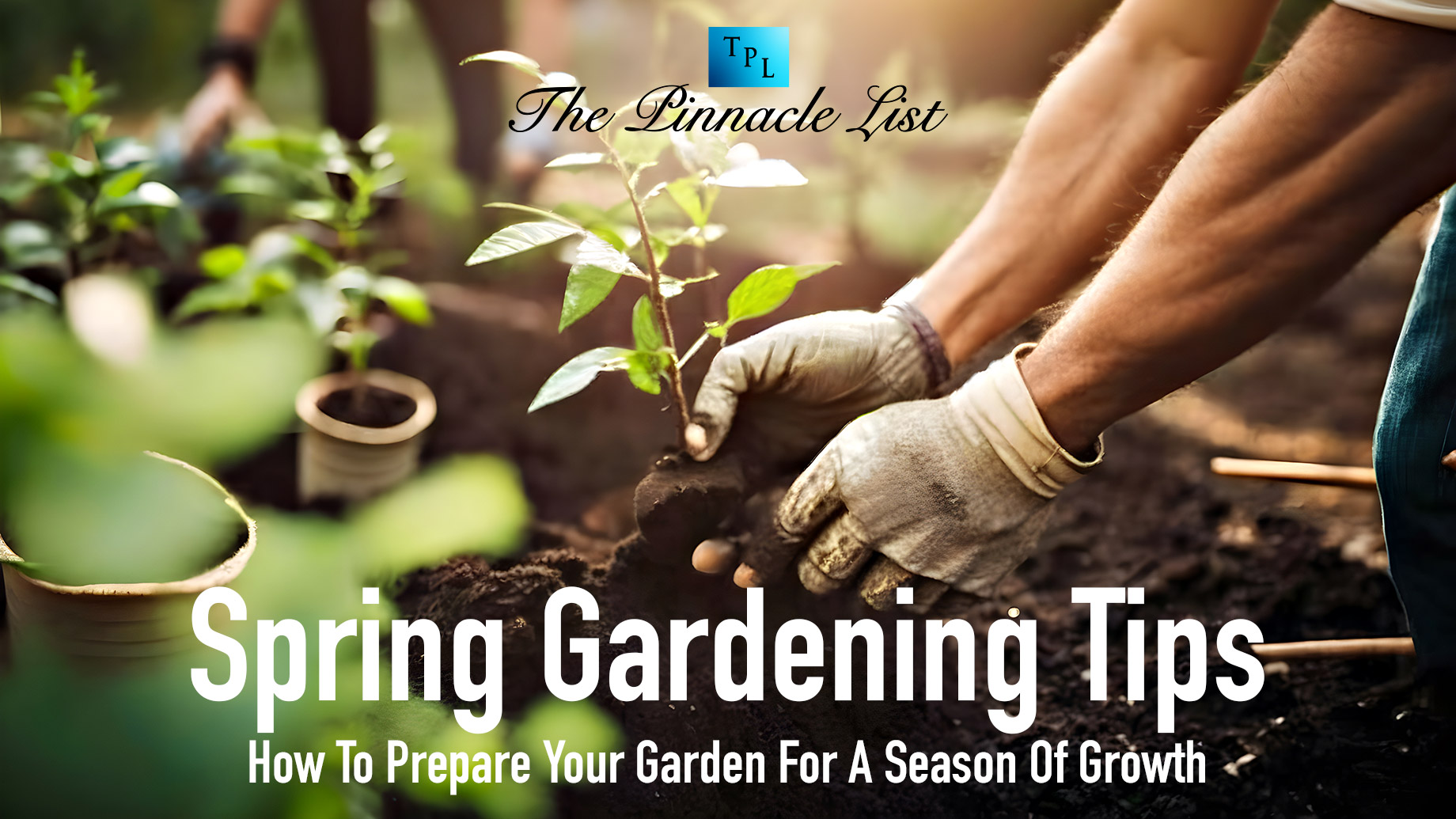 Spring Gardening Tips: How To Prepare Your Garden For A Season Of Growth