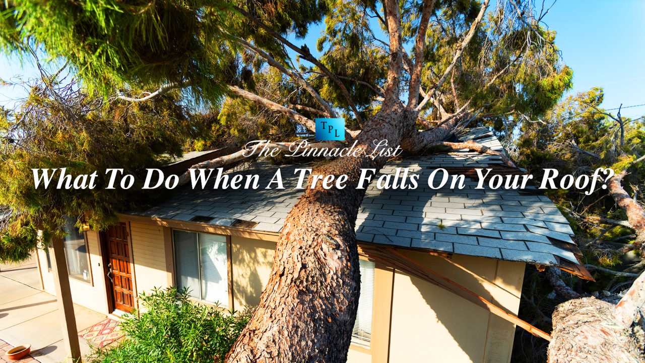 What To Do When A Tree Falls On Your Roof? The Pinnacle List