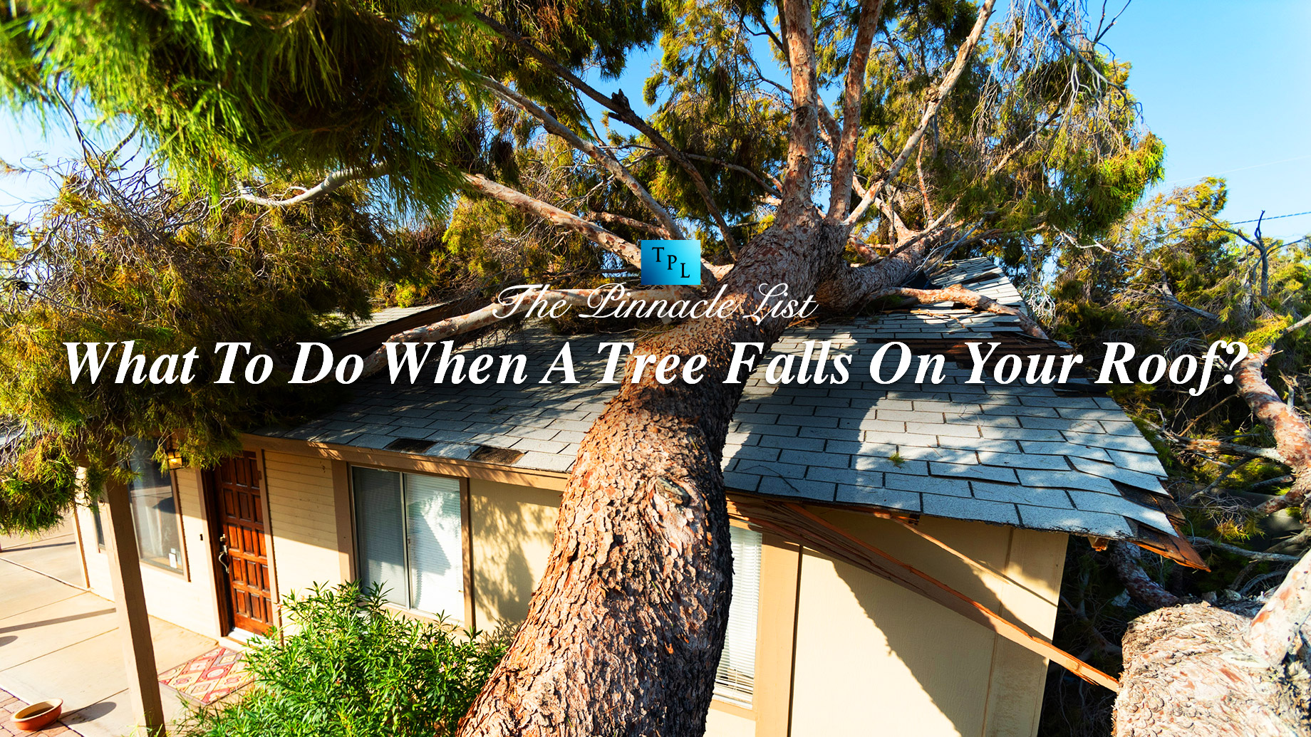 What To Do When A Tree Falls On Your Roof?