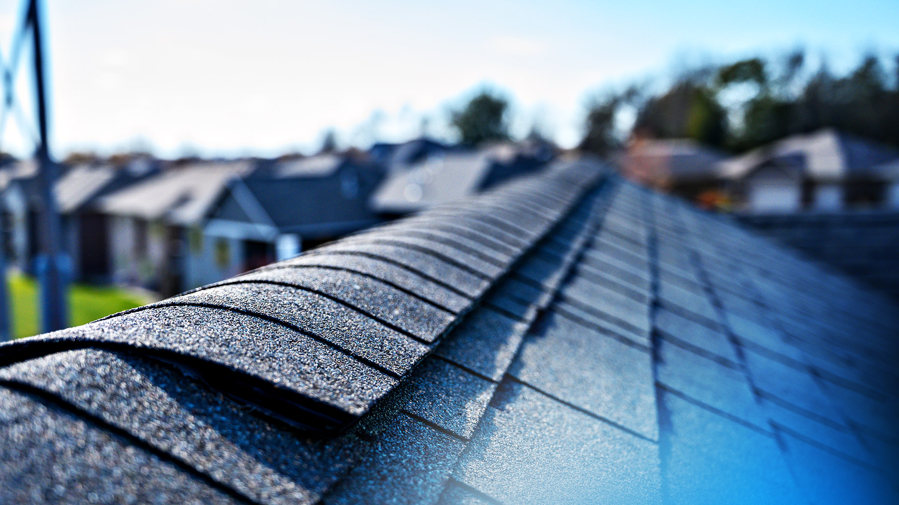 Asphalt Shingle Roof