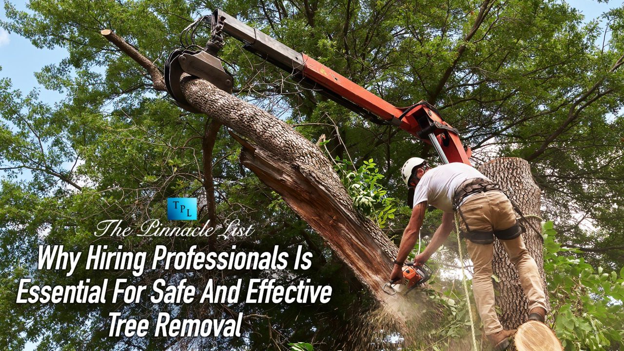 Why Hiring Professionals Is Essential For Safe And Effective Tree ...