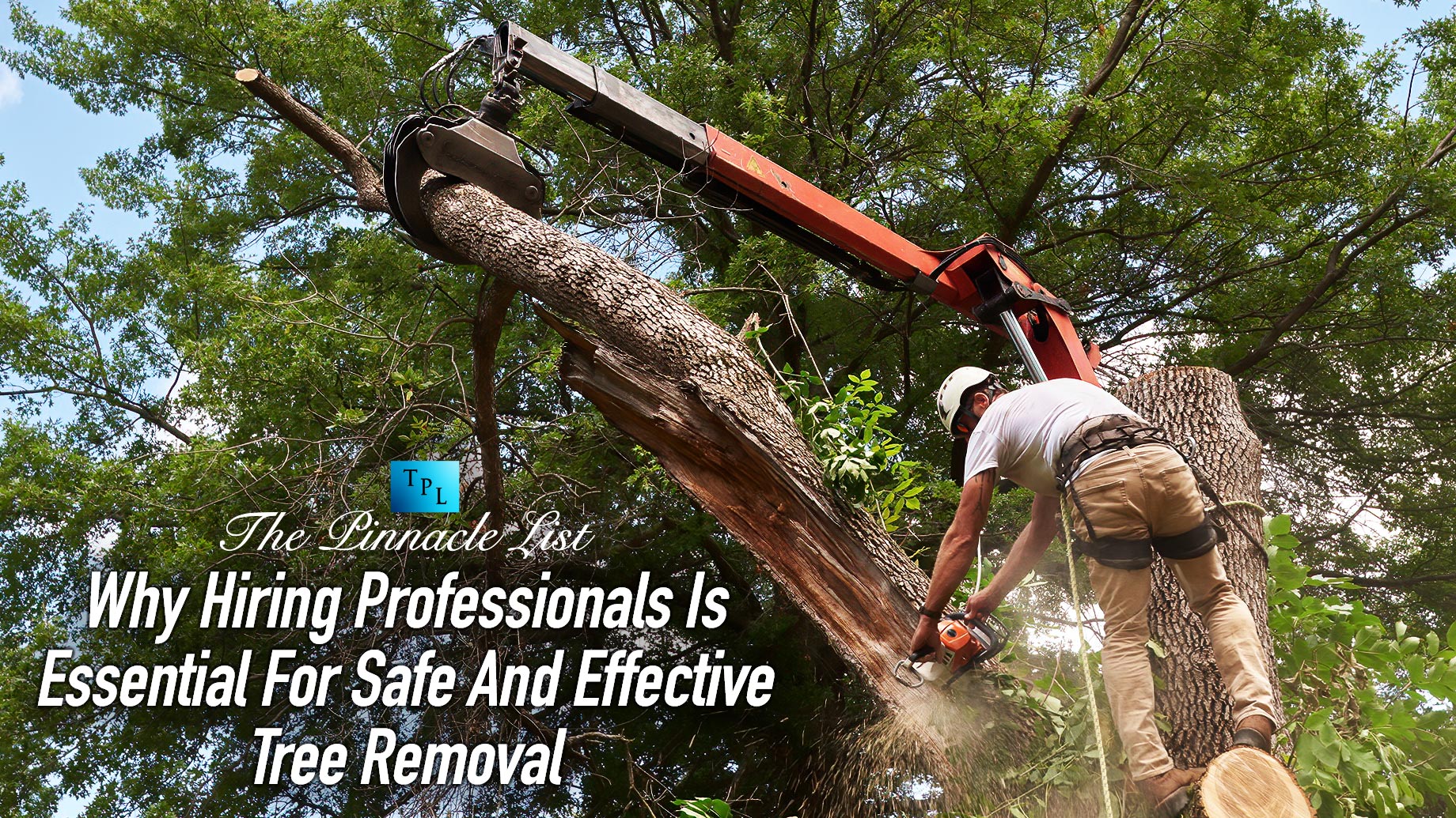 Why Hiring Professionals Is Essential For Safe And Effective Tree Removal