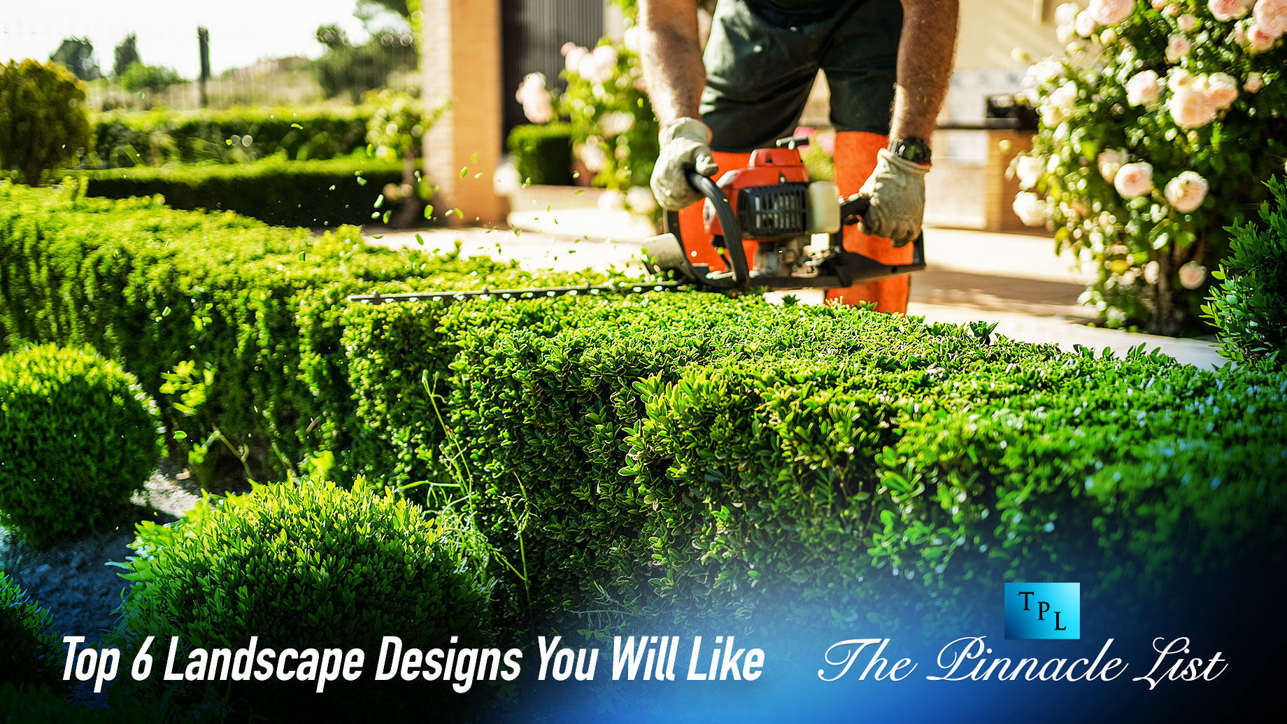 Top 6 Landscape Designs You Will Like