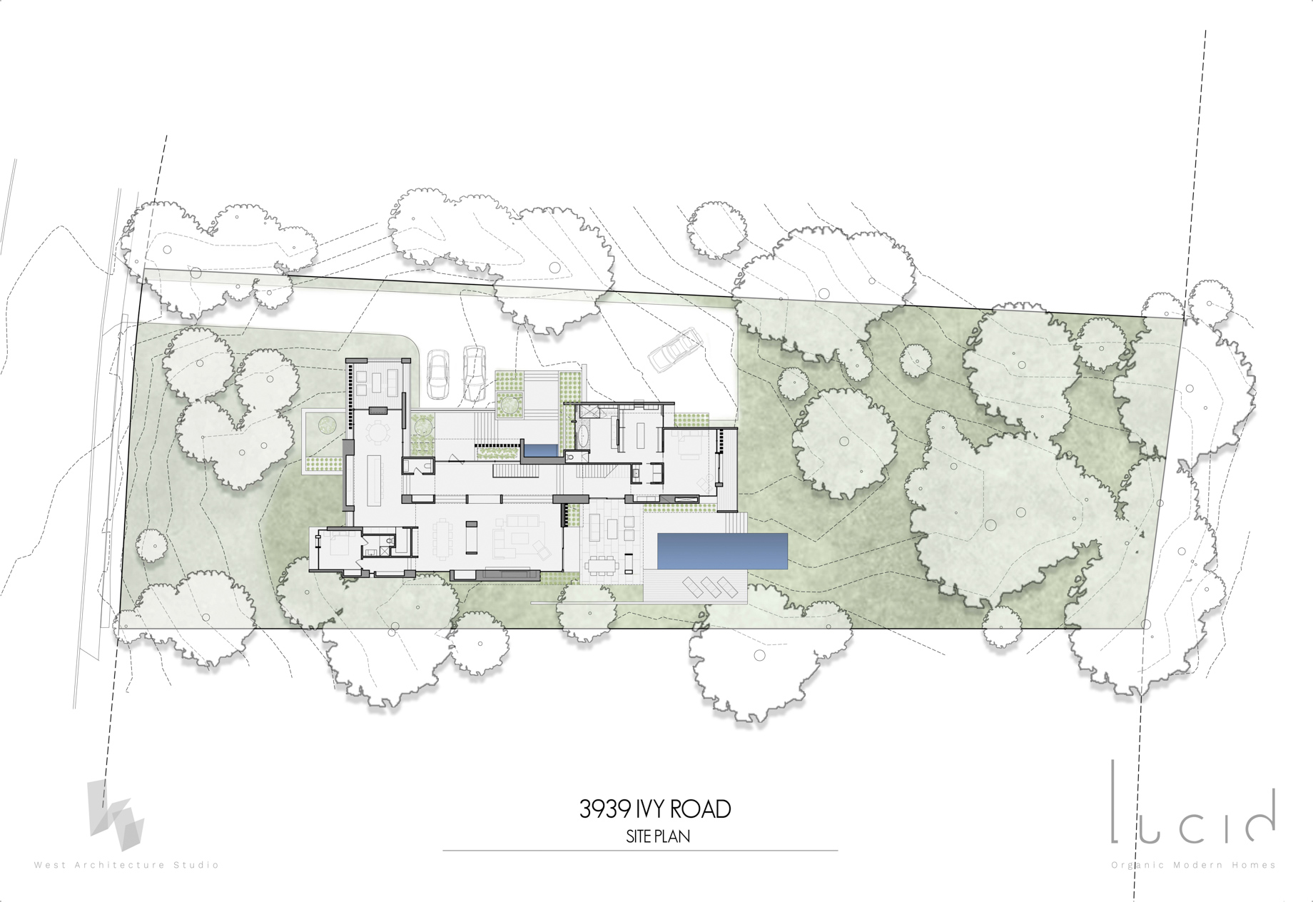 Site Plan – 3939 Ivy Rd NE, Atlanta, GA, USA