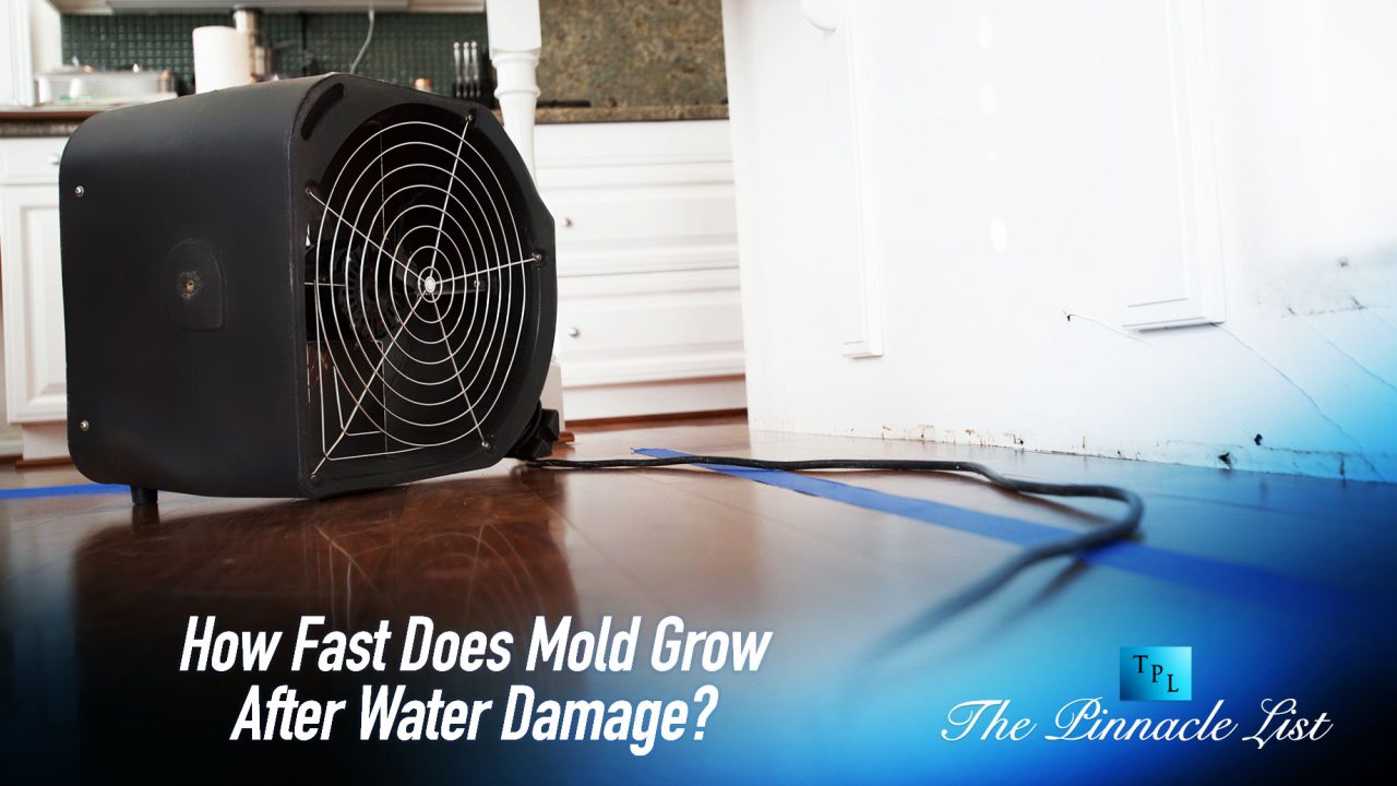 How Fast Does Mold Grow After Water Damage? The Pinnacle List