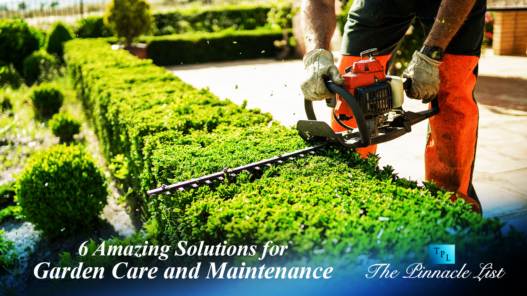 6 Amazing Solutions for Garden Care and Maintenance