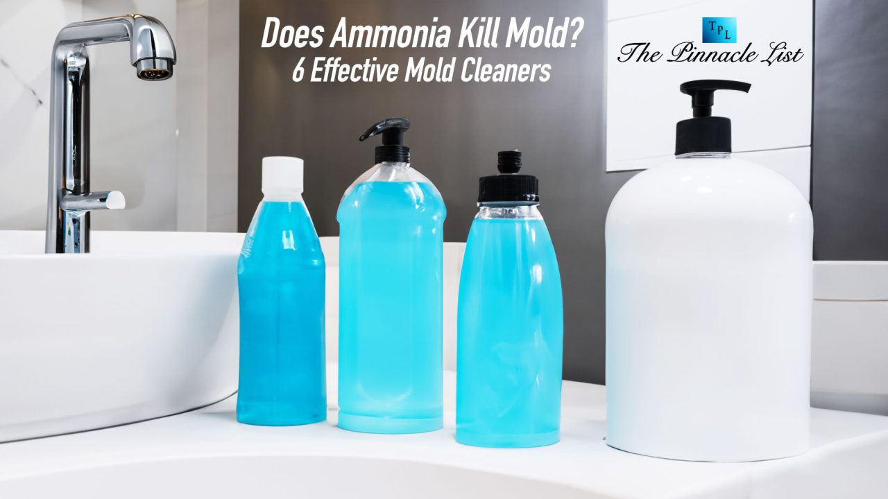 Does Ammonia Kill Mold? 6 Effective Mold Cleaners