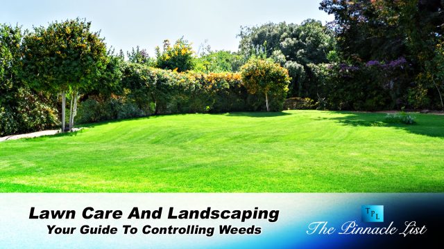 Lawn Care And Landscaping: Your Guide To Controlling Weeds