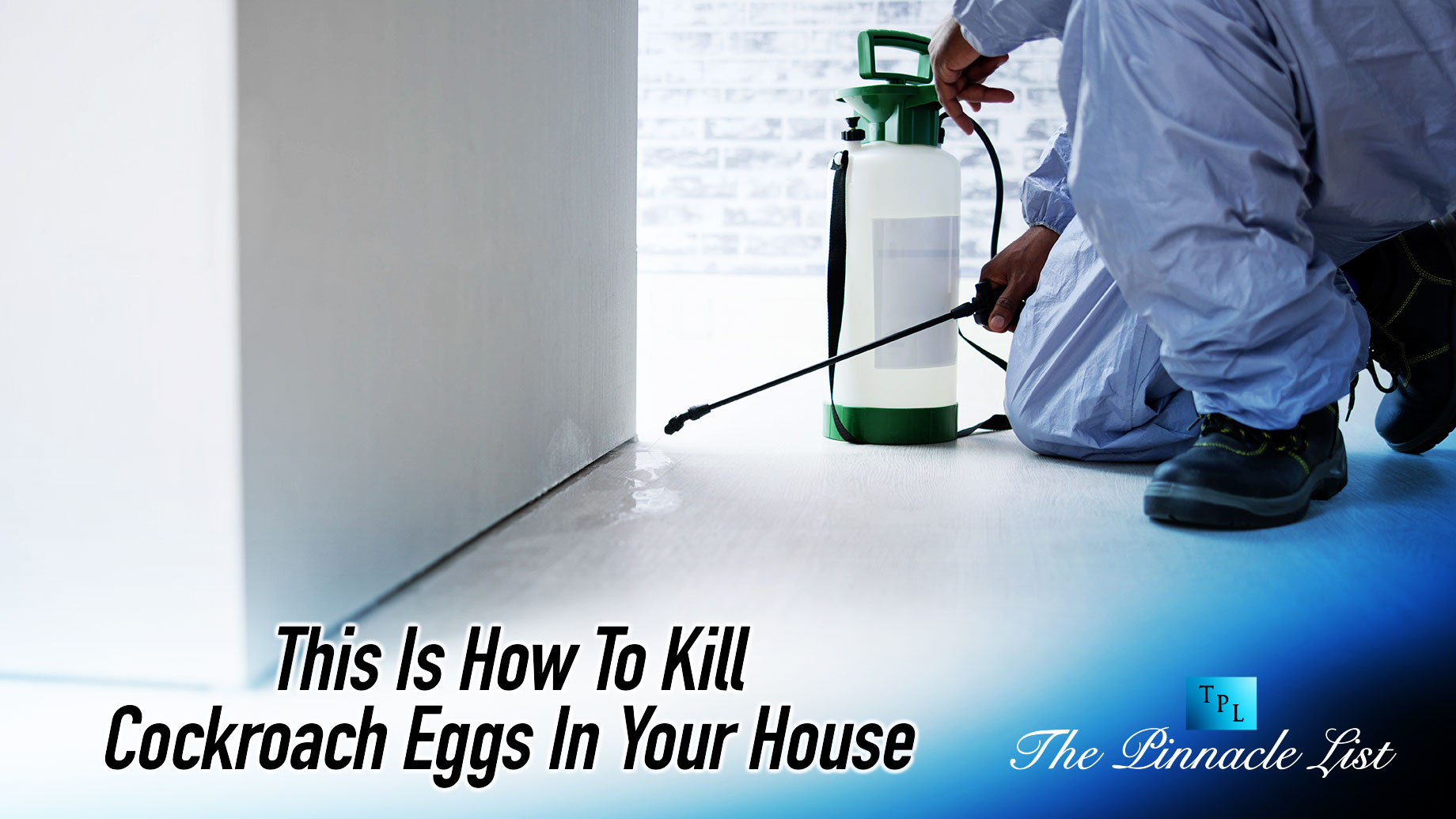 This Is How To Kill Cockroach Eggs In Your House