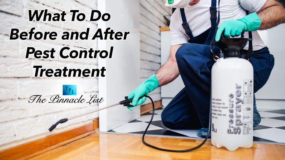 What To Do Before and After Pest Control Treatment The Pinnacle List