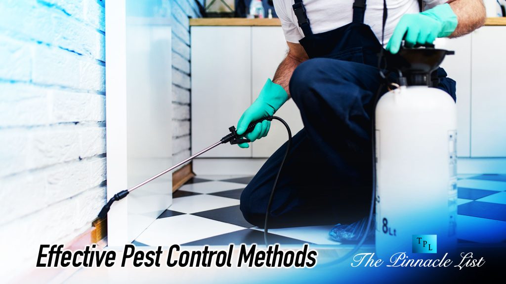Effective Pest Control Methods: A Comprehensive Guide β The Pinnacle List