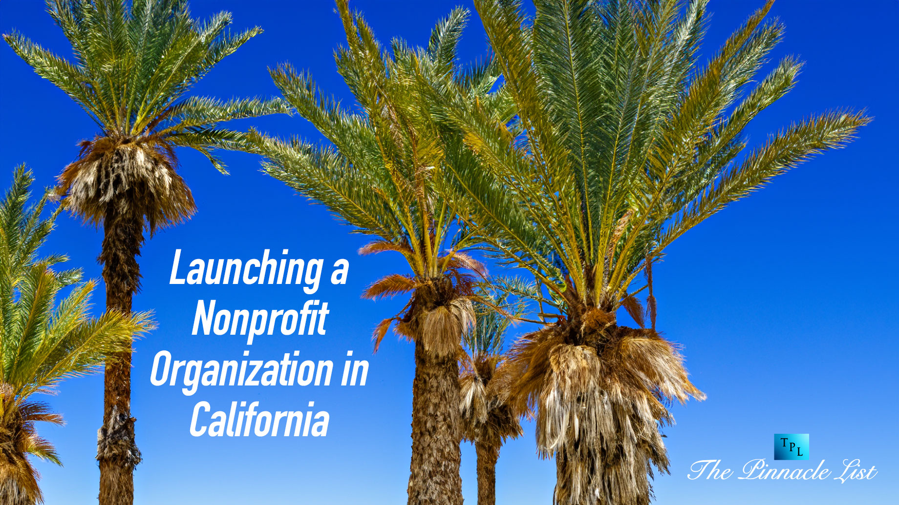Launching a Nonprofit Organization in California