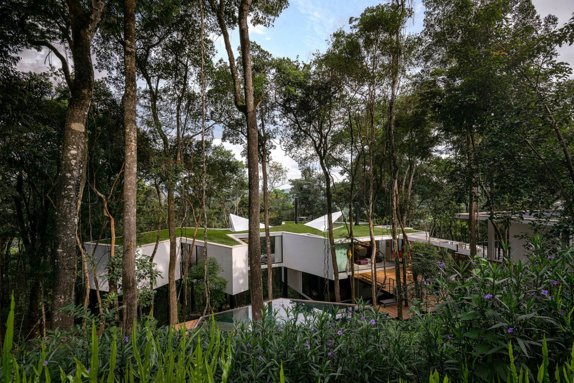 Acucena Treetop House - Nova Lima, Minas Gerais, Brazil