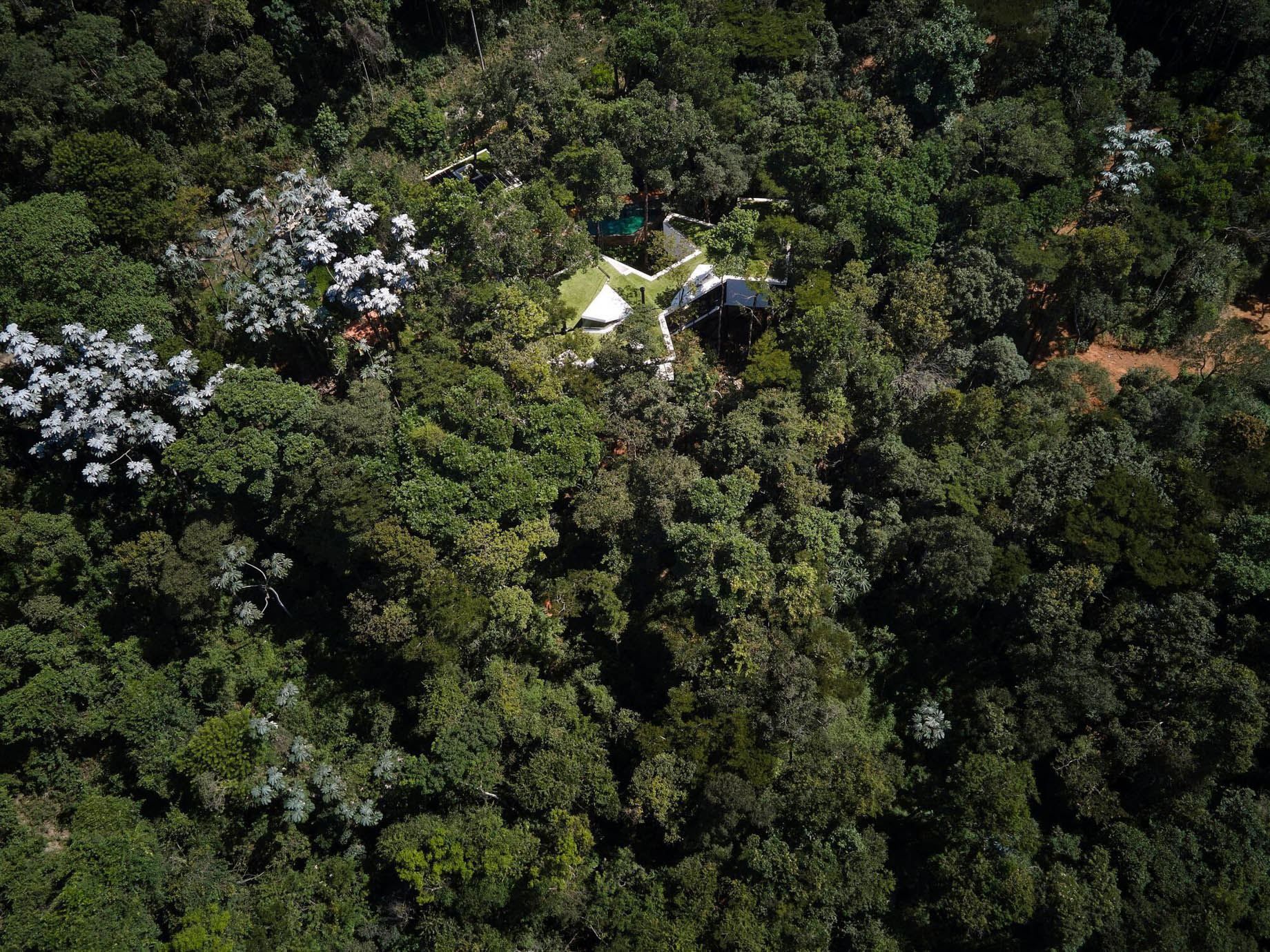 Acucena Treetop House - Nova Lima, Minas Gerais, Brazil