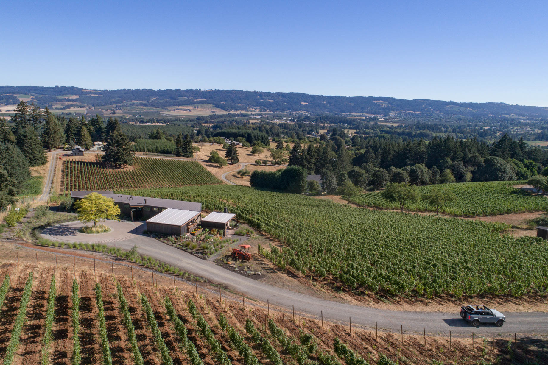 Big Fir Vineyard Natural Modern House - Dundee, OR, USA