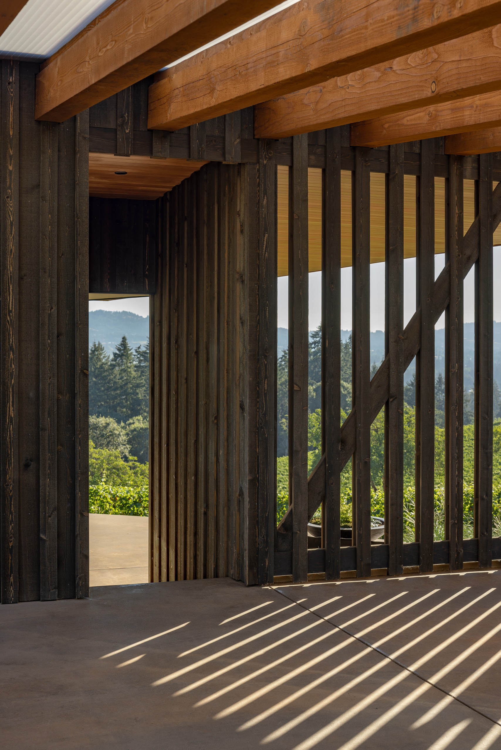 Big Fir Vineyard Natural Modern House - Dundee, OR, USA