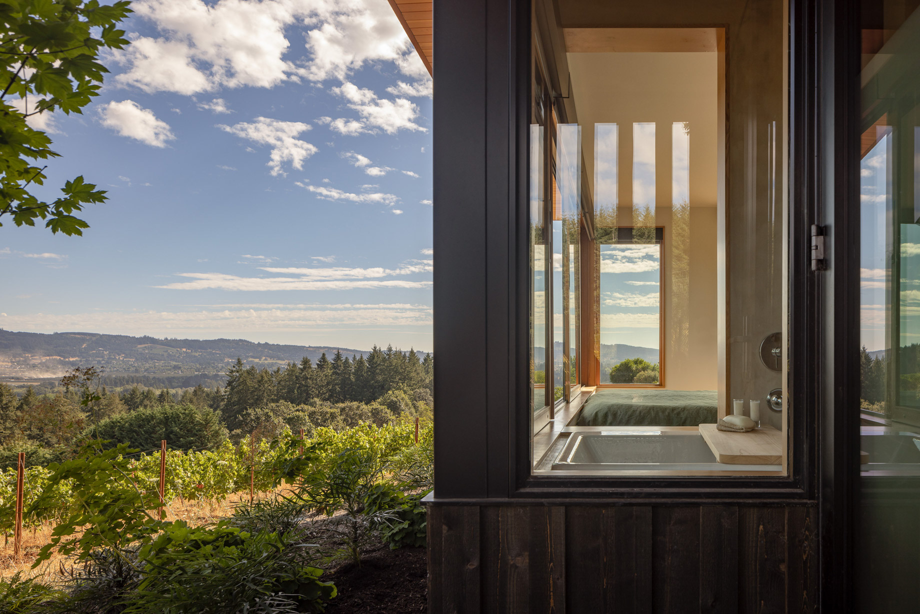 Big Fir Vineyard Natural Modern House - Dundee, OR, USA