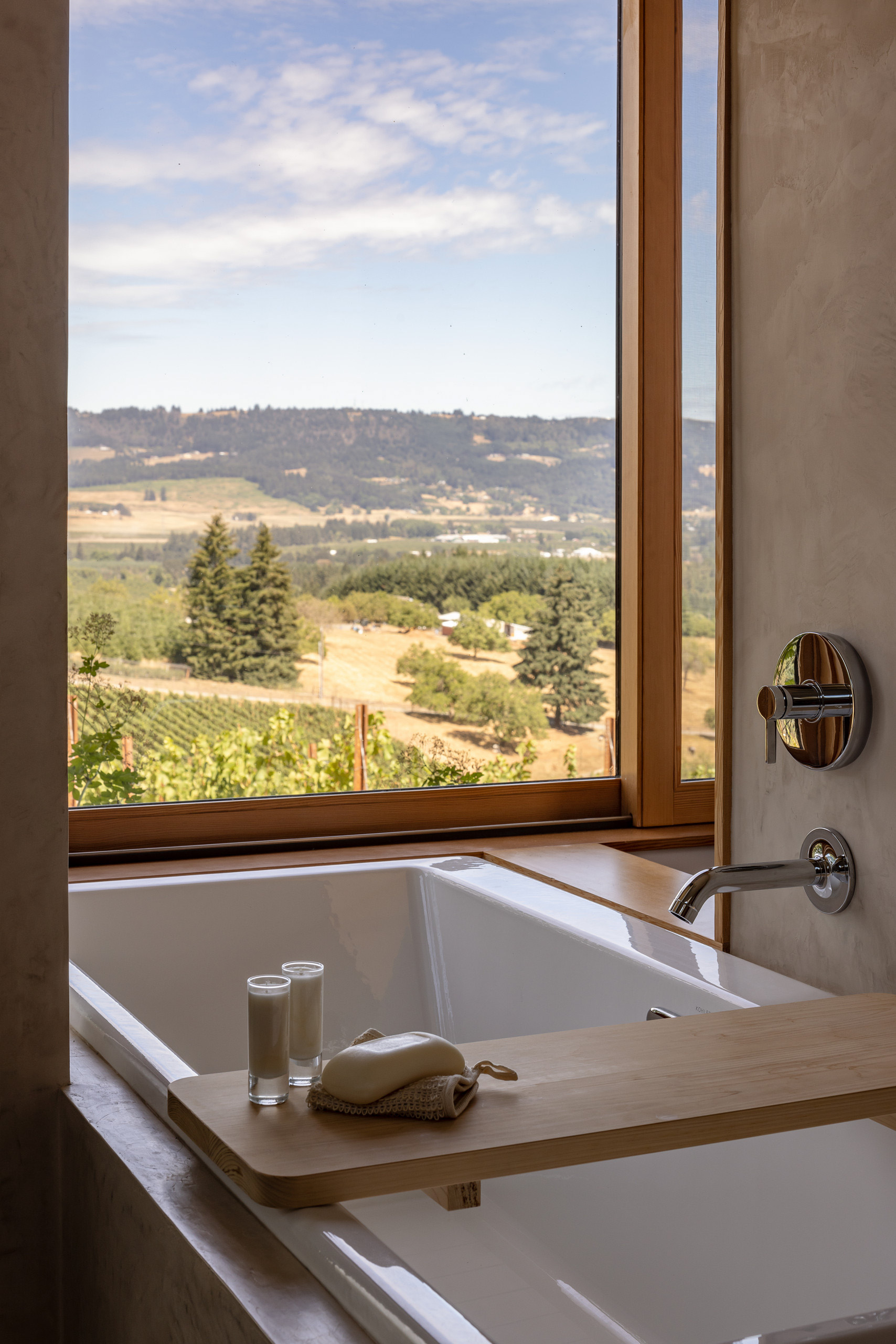 Big Fir Vineyard Natural Modern House - Dundee, OR, USA