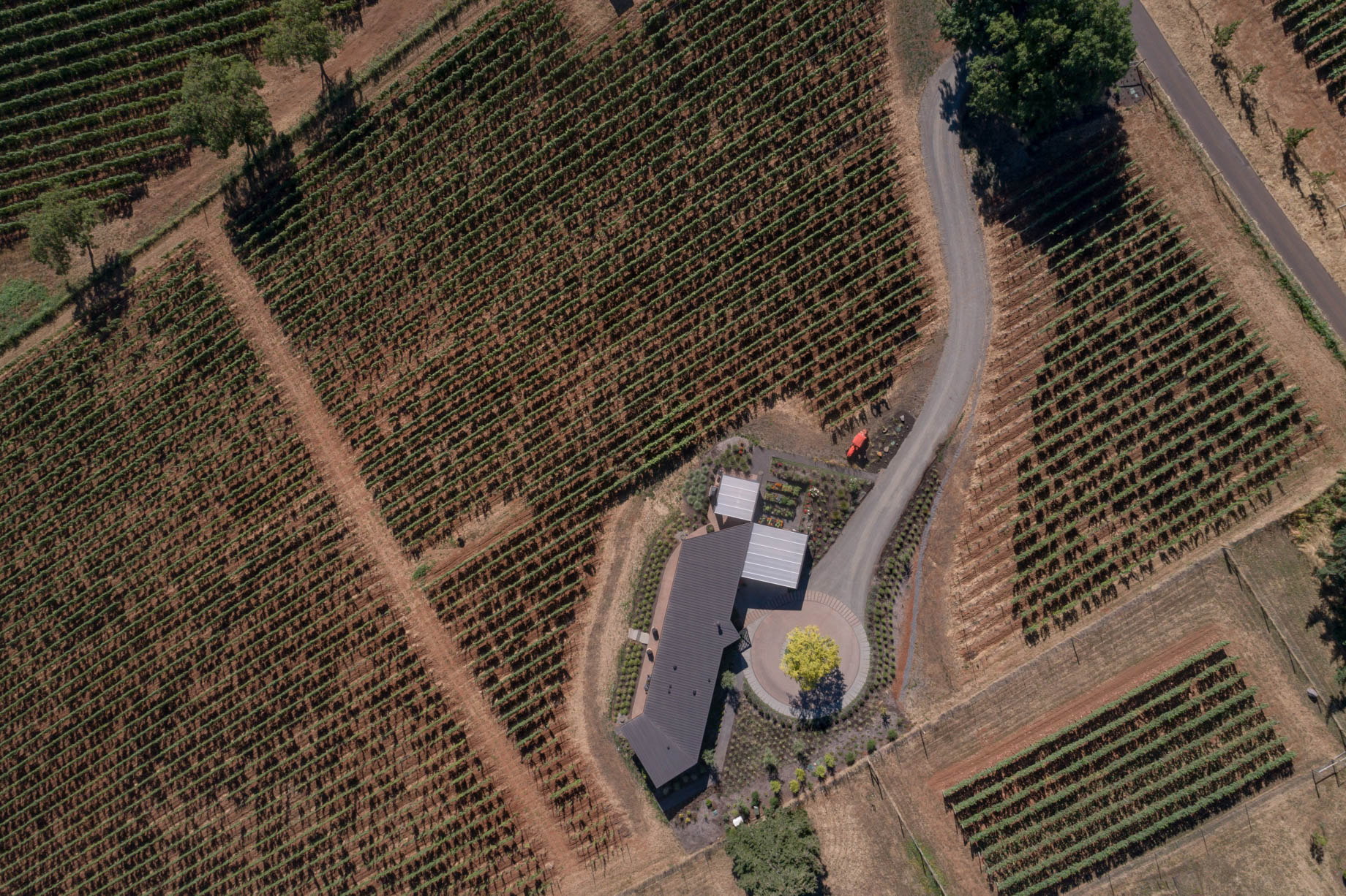 Big Fir Vineyard Natural Modern House – Dundee, OR, USA