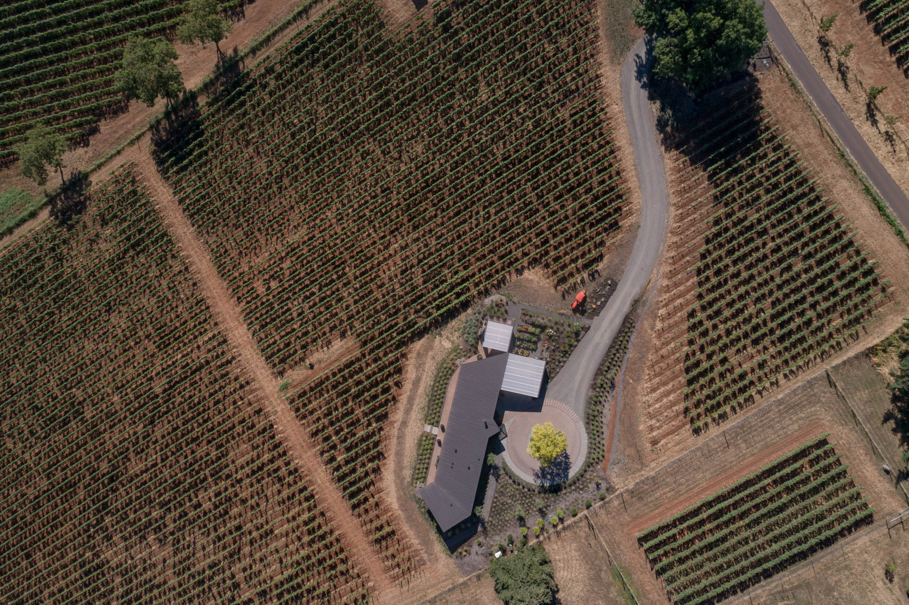 Big Fir Vineyard Natural Modern House - Dundee, OR, USA