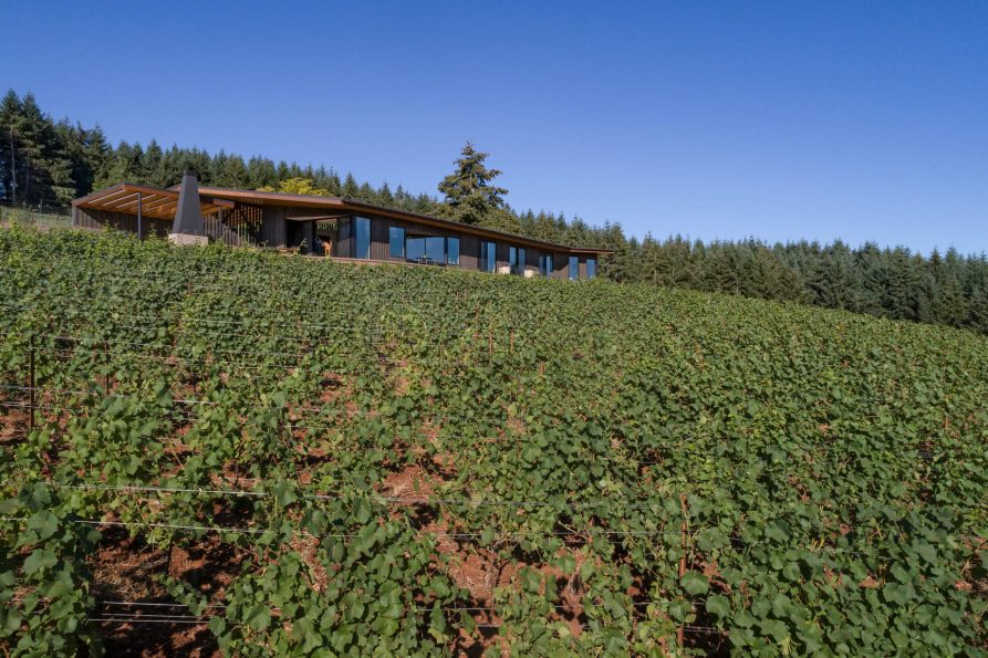 Big Fir Vineyard Natural Modern House - Dundee, OR, USA